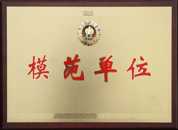 立兴_荣誉资质